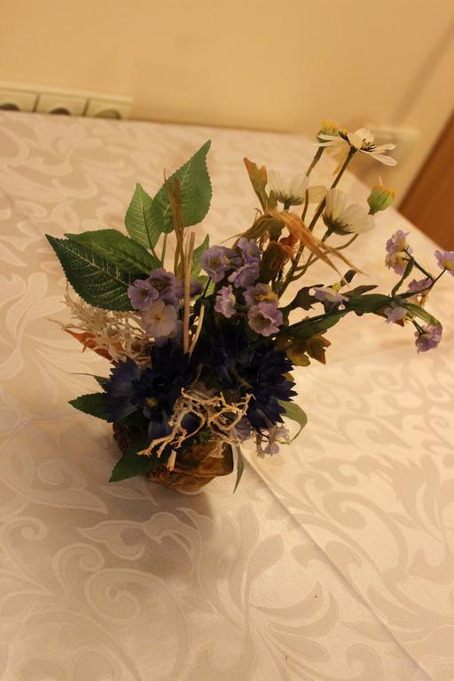 Vidu Guest House Utena Luaran gambar